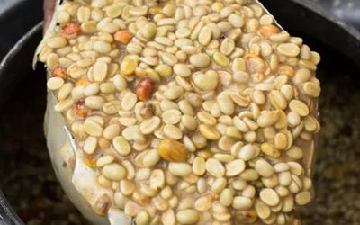 Lactic Fermentation Coffee Process