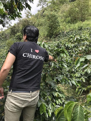 Close-up of Colombia CBD coffee beans highlighting their rich, smooth texture