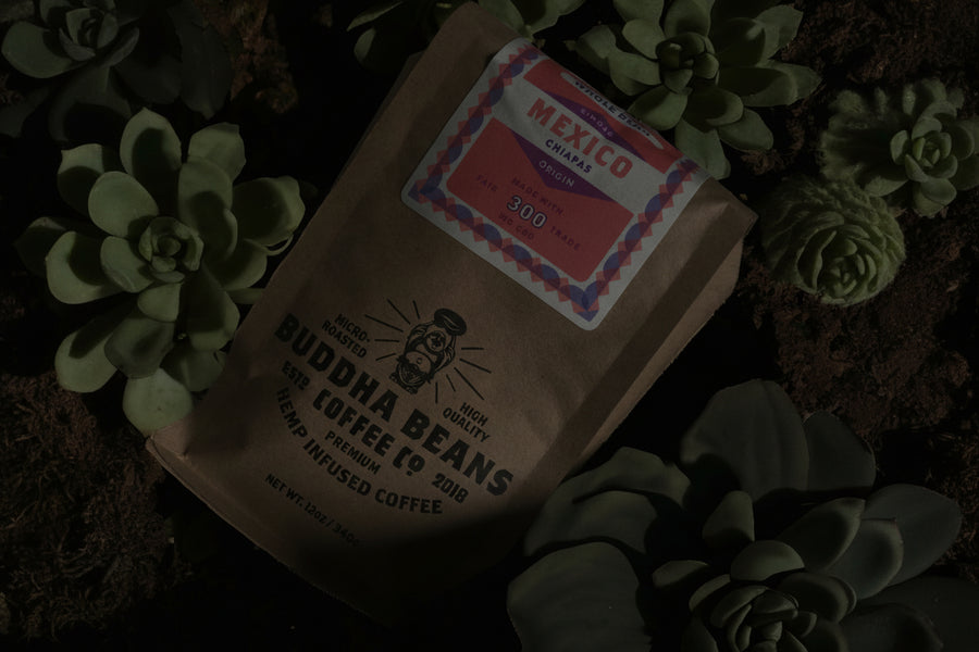 World's Best CBD + CBG Coffee
